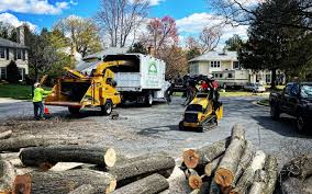 Best Emergency Tree Removal  in Menomonee Falls, WI